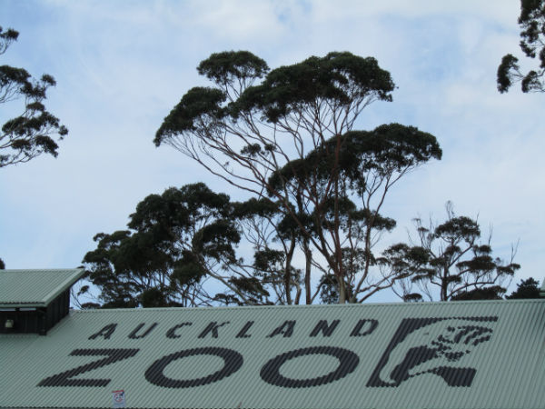 Auckland Zoo sarrera